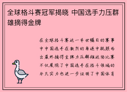 全球格斗赛冠军揭晓 中国选手力压群雄摘得金牌